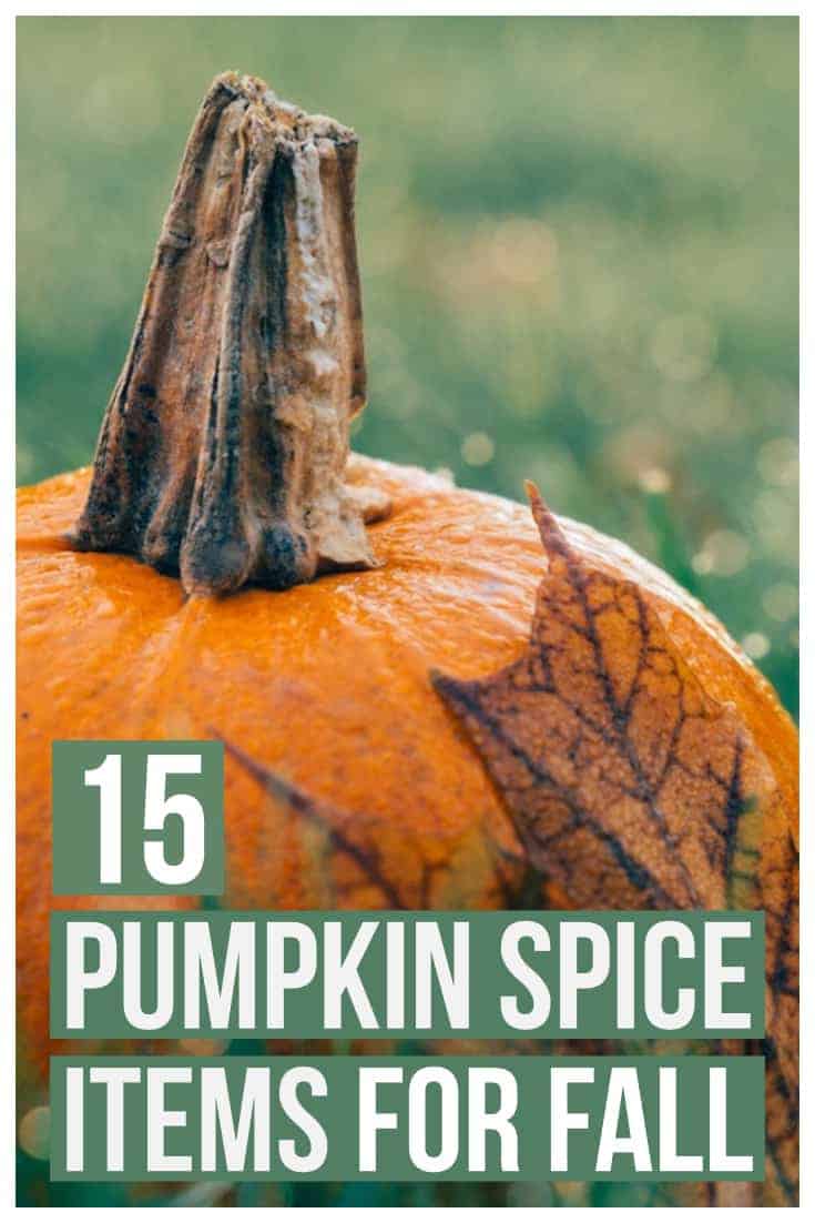 12 Pumpkin Spice Recipes -2