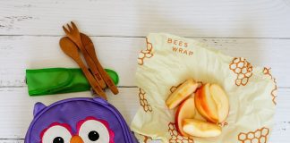 Eco-friendly Essentials To Pack A Plastic-free School Lunch
