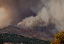 Moving to Wildfire Country? Here’s What You Need to Know. wildfire
