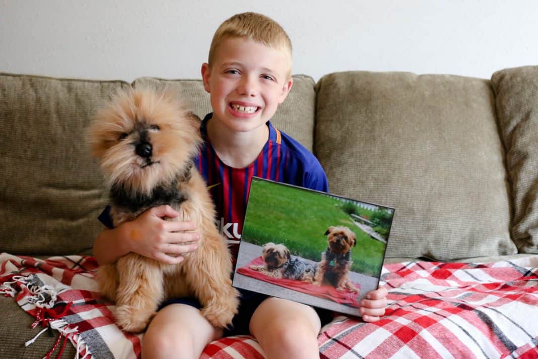 Petsies: Keep Your Pet Fur-ever With This Brand