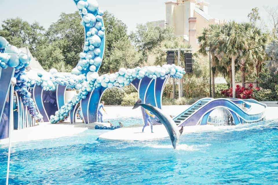 Seaworld-Orlando-Theme-Park (21 Of 58)