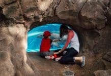 Seaworld: An Orlando Theme Park For All Ages