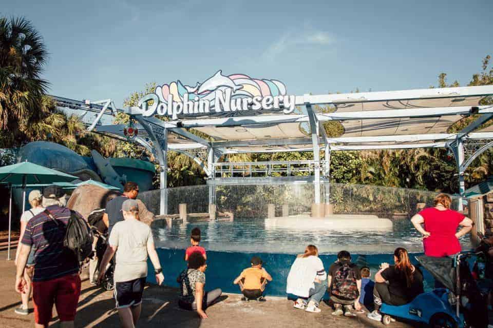 Seaworld-Orlando-Theme-Park (51 Of 58)