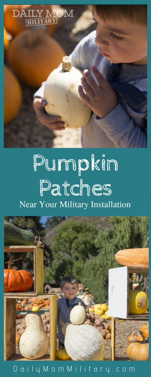 Pumpkin Patches Near Military Installations