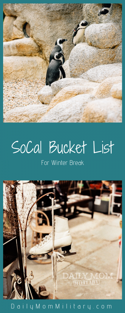Socal Winter Bucket List