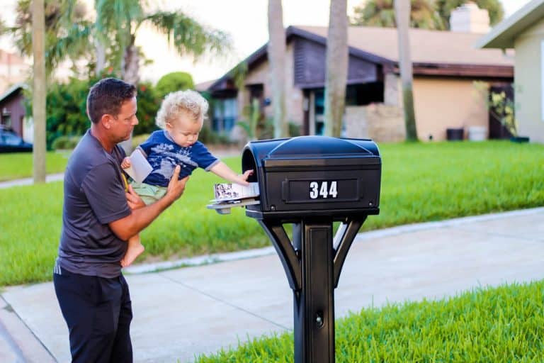 15 Things Your Mail Carrier Wants You to Know