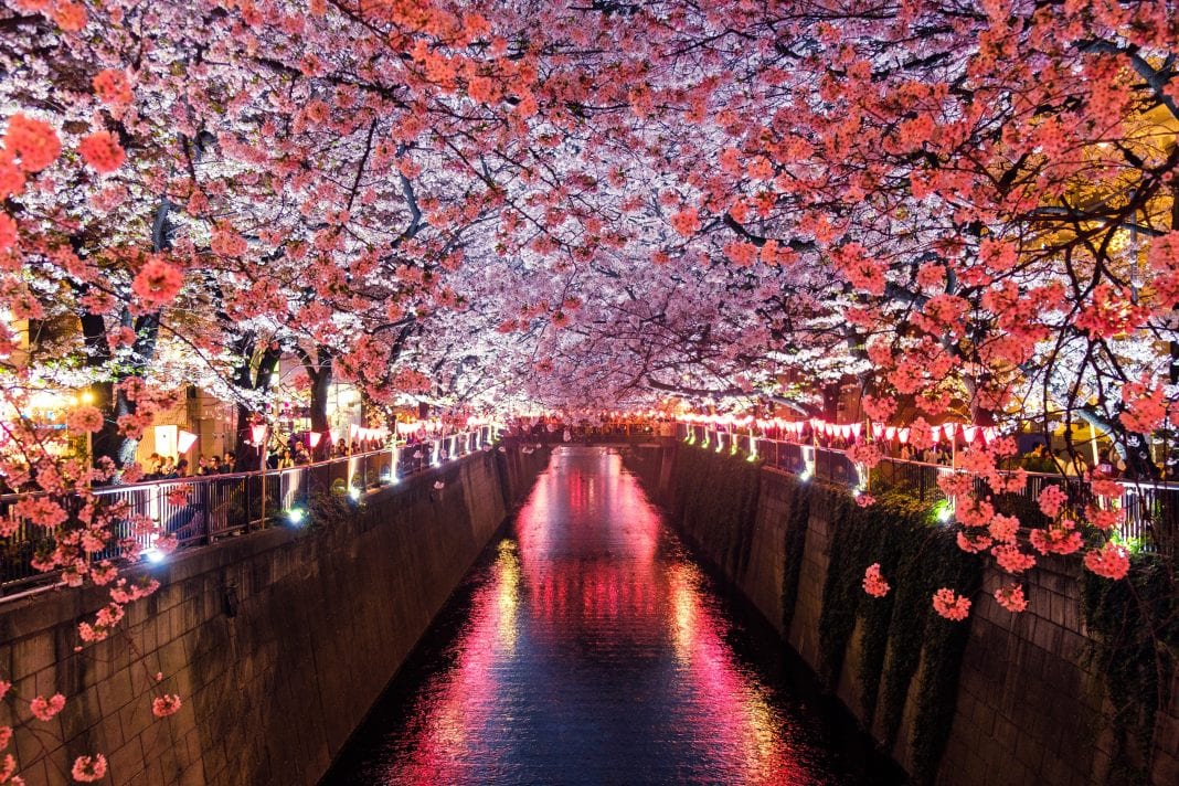 japan