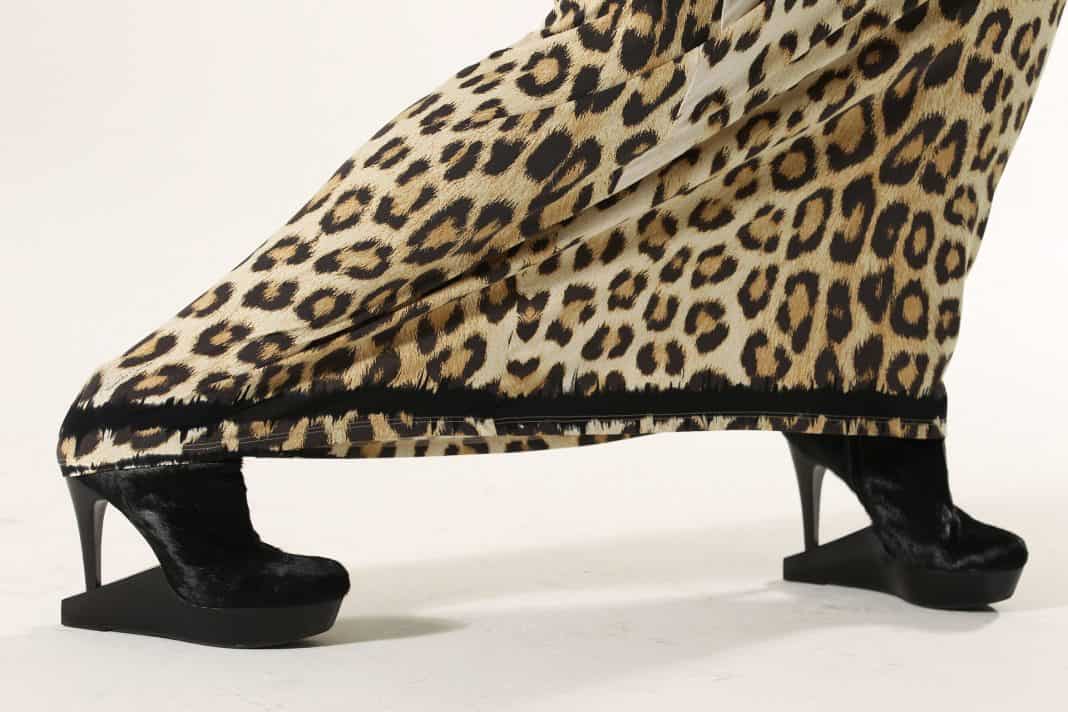 Animal Trends