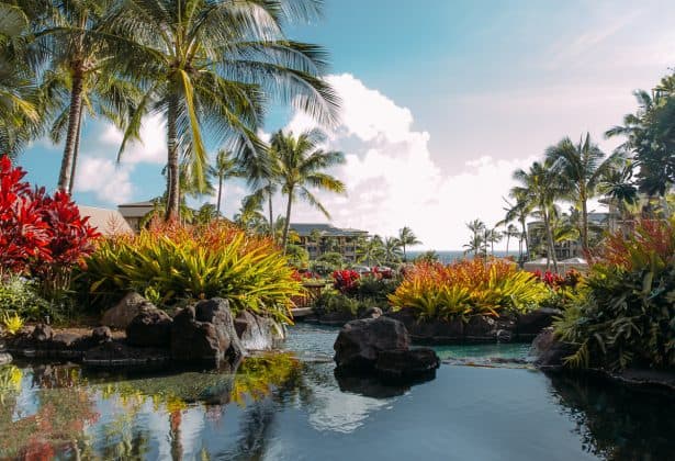 6 Reasons For Traveling Solo To Koloa Resort » Read Now!