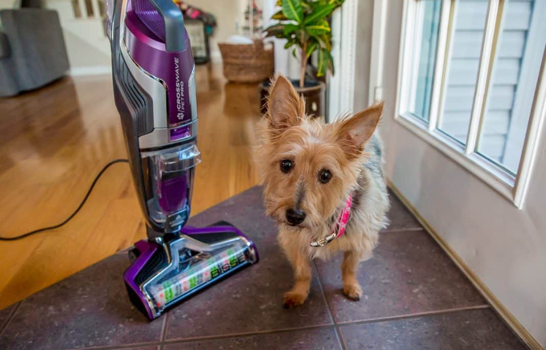 Crosswave Pet Pro Wet/dry Bissell Vacuum Cleaner Review