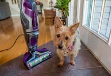 Crosswave Pet Pro Wet/dry Bissell Vacuum Cleaner Review