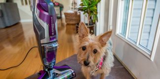 Crosswave Pet Pro Wet/dry Bissell Vacuum Cleaner Review