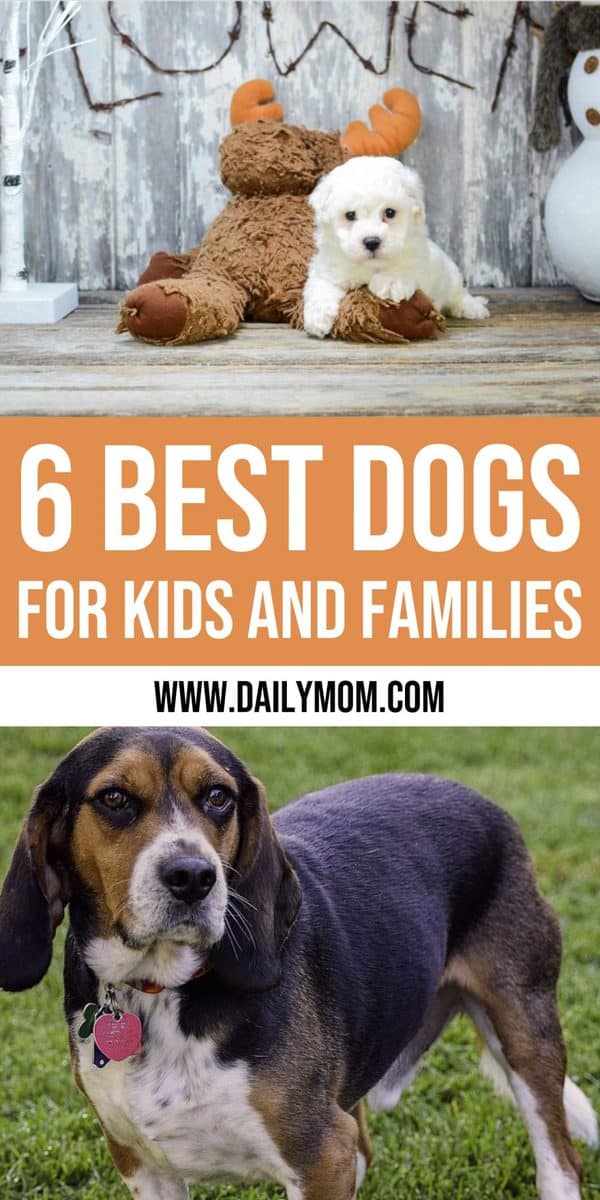 best dogs for kids