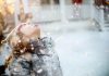5 Ways To Celebrate Winter Solstice