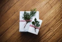 Kari Shea 485935 Unsplash