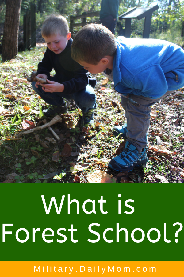 What Is Forest School