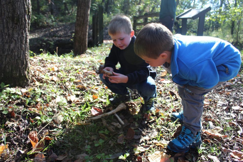 Worldschooling With The Wild Bradburys What Is Forest School 2