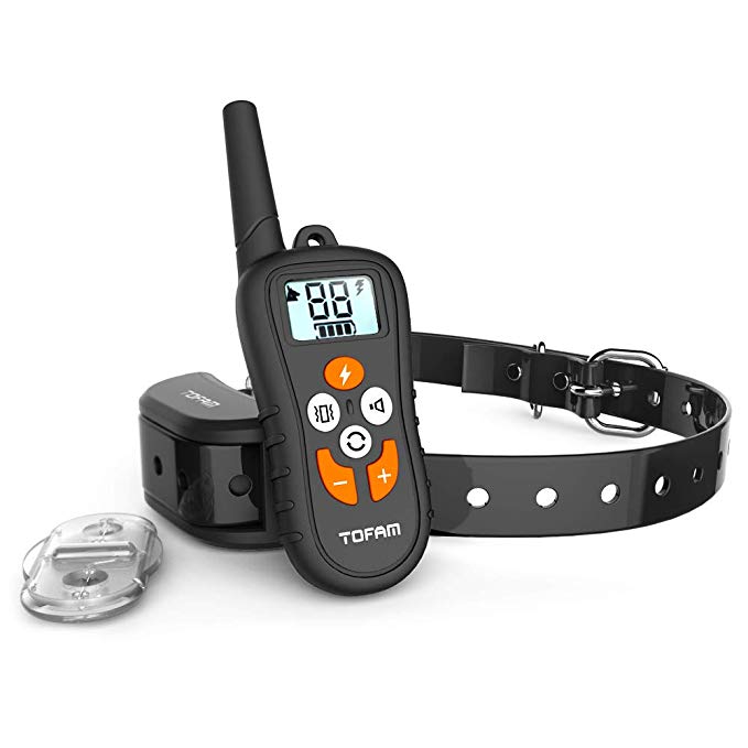 Daily-Mom-Parent-Portal-Cool-Gadgets-Dog-Trainer