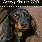 27 Best Planners For Mom
