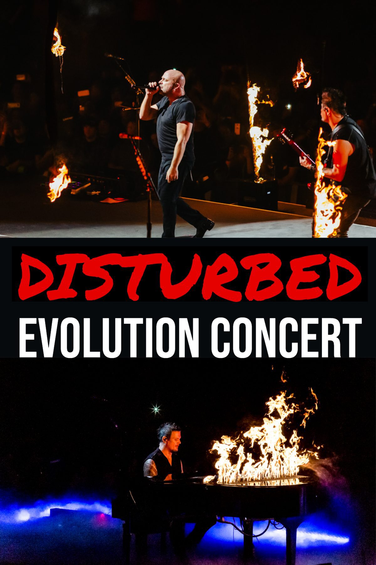 Disturbed Evolution Tour By Dm Concert Series