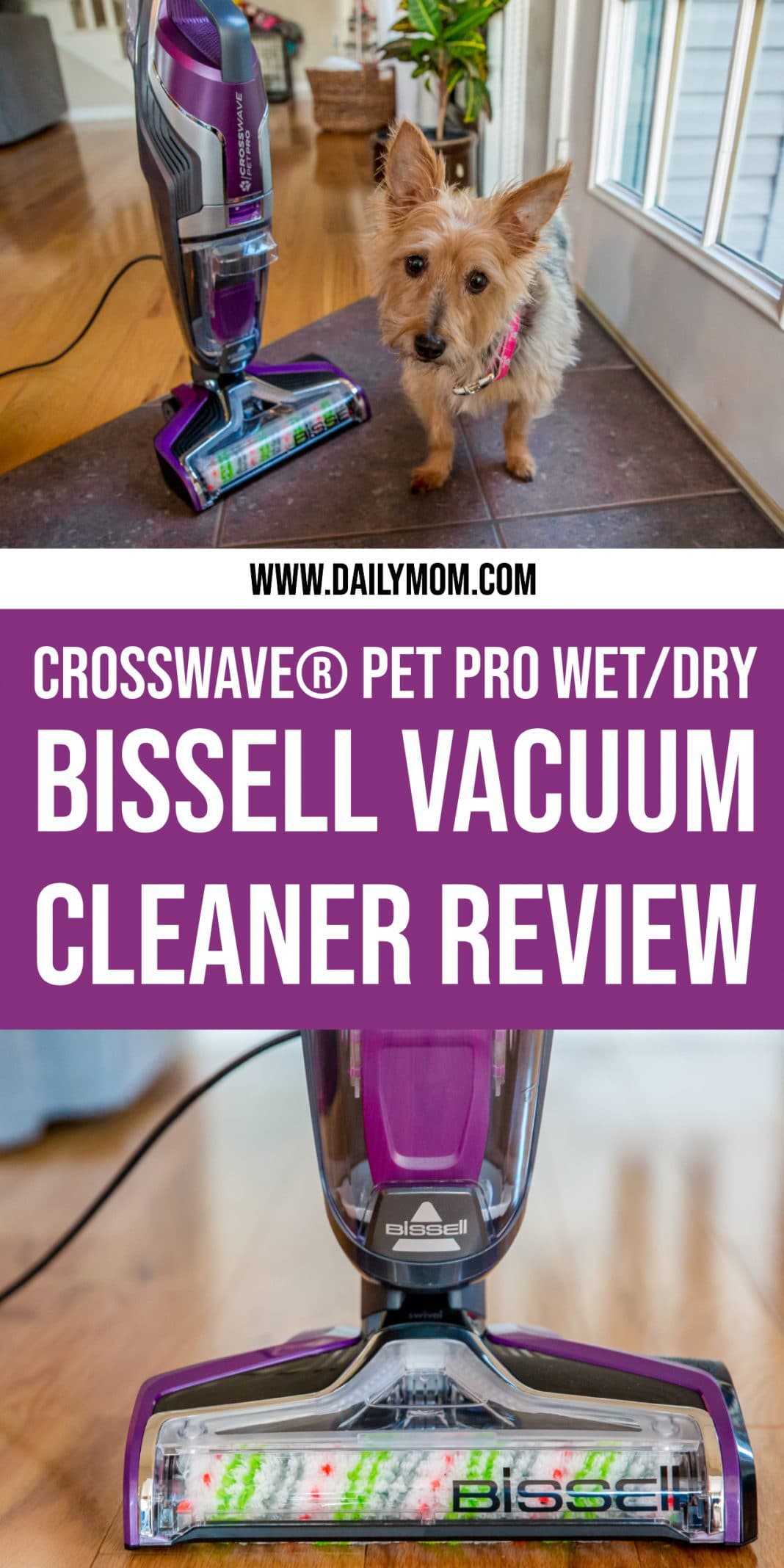Bissell Vacuum The Impressive CrossWave Pet Pro Review