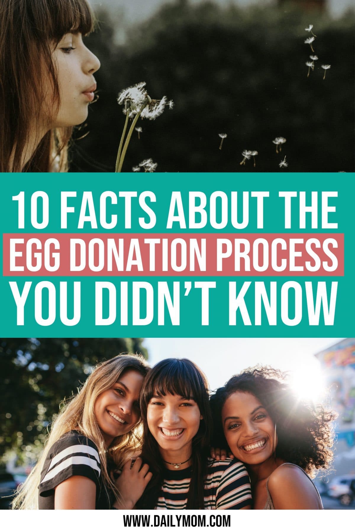 10 Facts About The Egg Donation Process You Didn’t Know