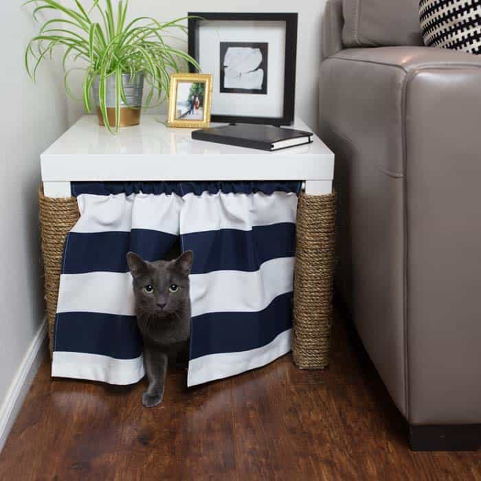 5 Cat Litter Box Furniture Solutions You Did Not Know Existed