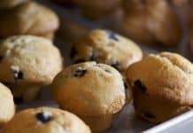Wild Blueberry Muffin Recipe from Sweet Tomatoes Restaurant Wild Blueberry Muffin Recipe From Sweet Tomatoes Restaurant