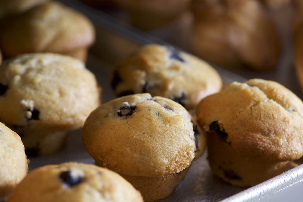 Wild Blueberry Muffin Recipe From Sweet Tomatoes Restaurant