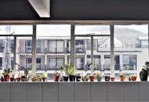 The Complete Guide to Houseplants: Care Tips for Indoor Plant Success and How to Make House Plants Thrive in Your Indoor Space A Quick Guide To Houseplants