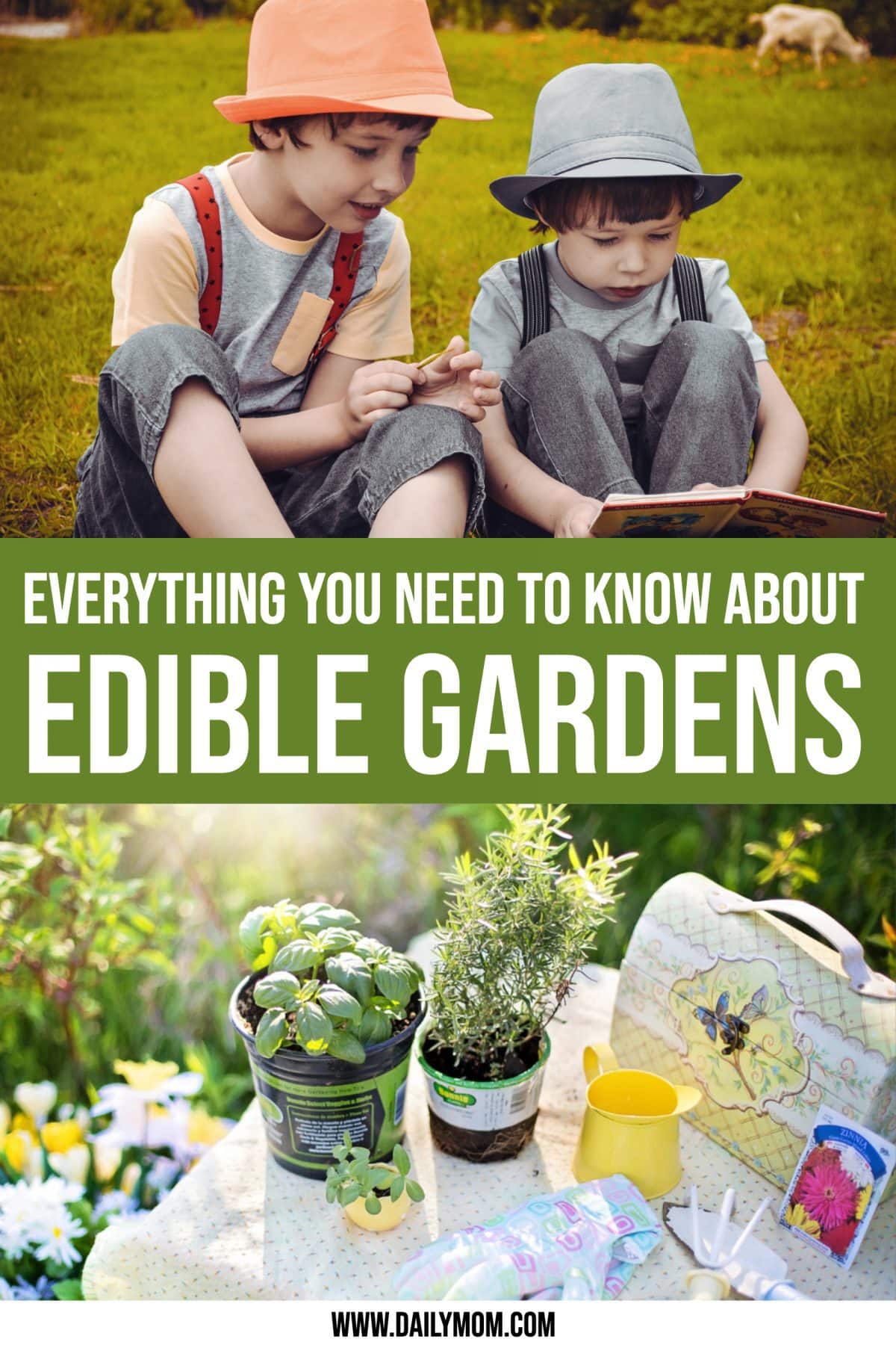 Everything You Need To Know About Edible Gardens
