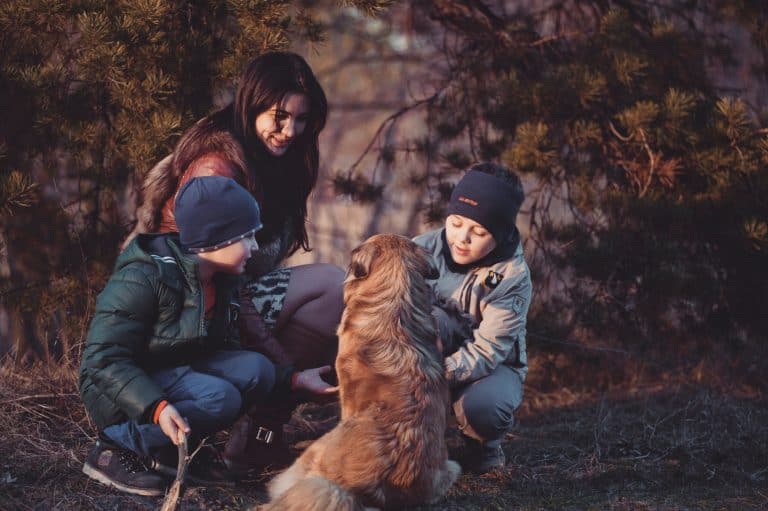 8 Tricks for Developing Positive Relationships with Children