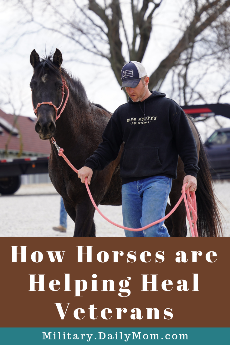 How Horses Are Helping Heal Veterans