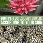 Your Perfect Zodiac Flowers According To Your Sign
