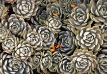 All The Best Bike Gear and Accessories for Epic Bike Rides Your Perfect Zodiac Flowers According To Your Sign