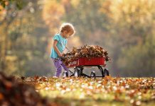How To Convince Your Kids To Rake Leaves