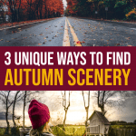 3 Unique Ways To Enjoy Autumn Scenery On A Budget