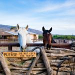 Tanque Verde Guest Ranch: The Best Dude Ranch For Multi-generational Travel