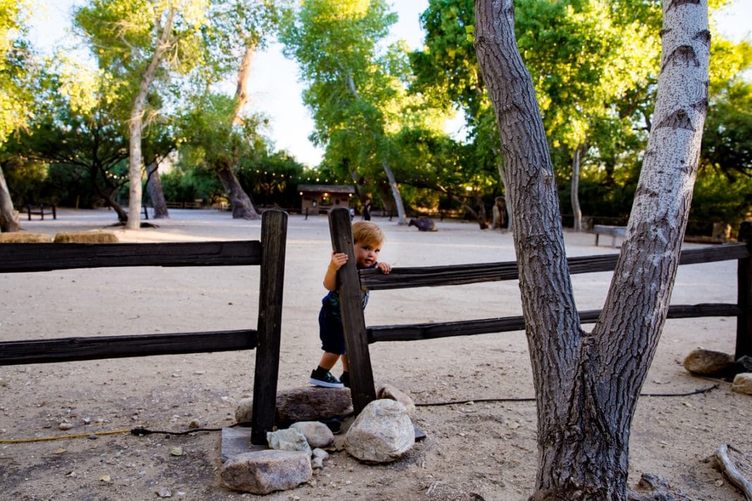 Tanque Verde Guest Ranch: The Best Dude Ranch For Multi-generational Travel
