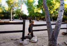 Tanque Verde Guest Ranch: The Best Dude Ranch For Multi-generational Travel