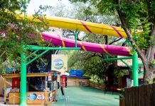 Schlitterbahn Waterpark And Resort Review {in Photos}