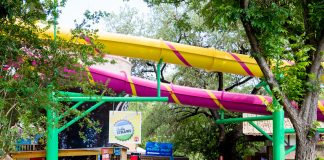 Schlitterbahn Waterpark And Resort Review {in Photos}