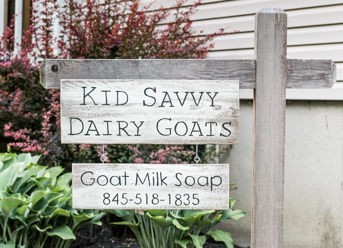 New Goat's Milk Soap Making Kit - DIY Gateway