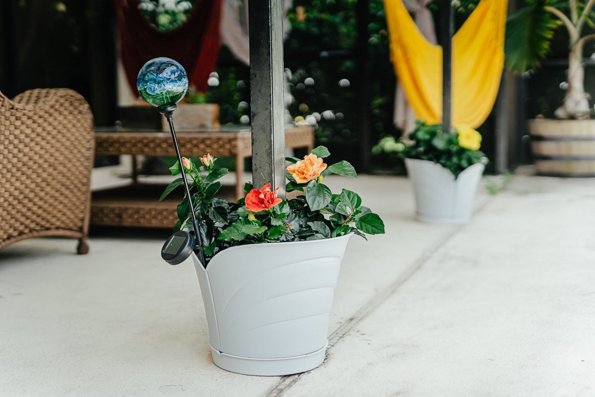 Garden Decorations And Outdoor Patio Must-Haves