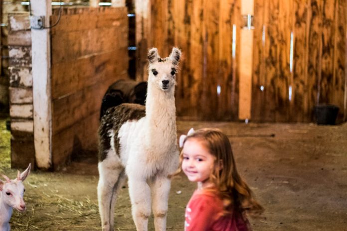 10 Fabulous Fall Activities For Everyone
