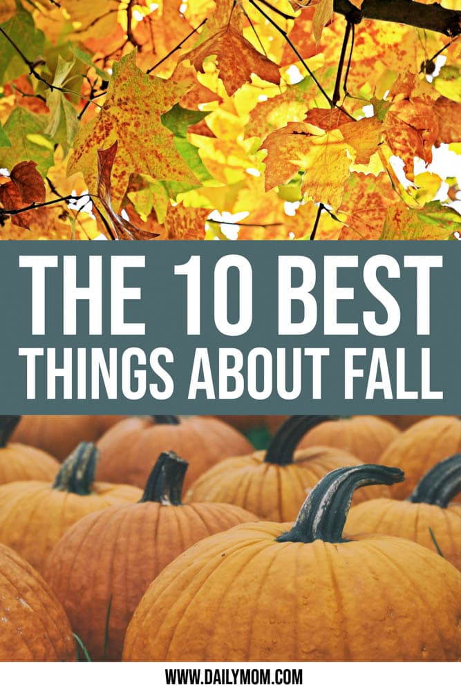 10 Fabulous Fall Activities For Everyone