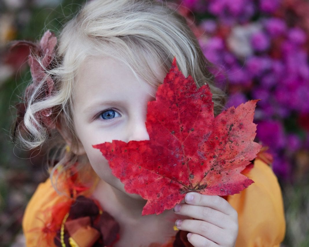 3 Unique Ways To Enjoy Autumn Scenery On A Budget