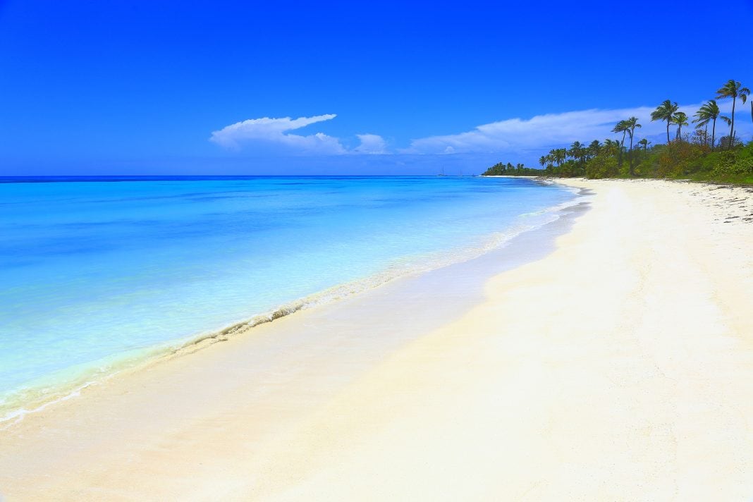 5 Best Vacation Spots In Florida For Families