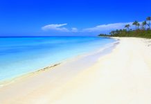 5 Best Vacation Spots In Florida For Families