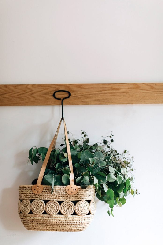 Fall Decor-rachel